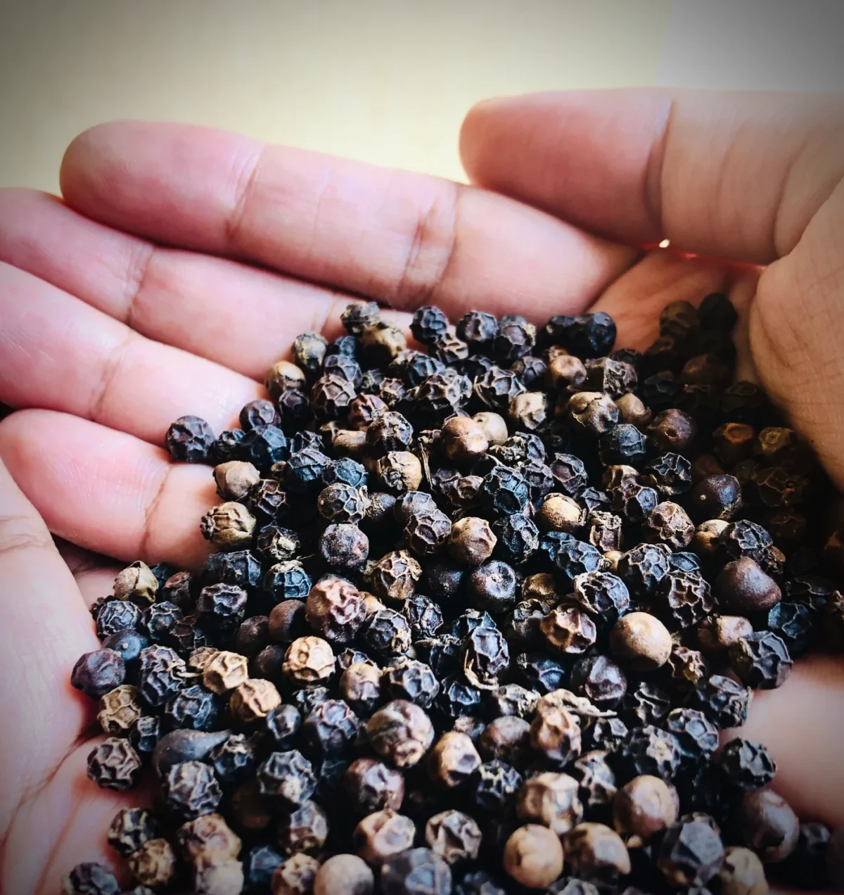 Black Pepper - Image 2