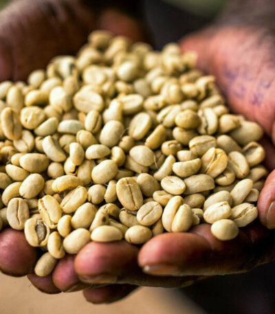 LEKEMOTI NATURAL COFFEE