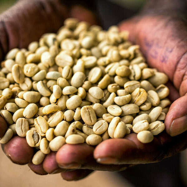 LEKEMOTI NATURAL COFFEE